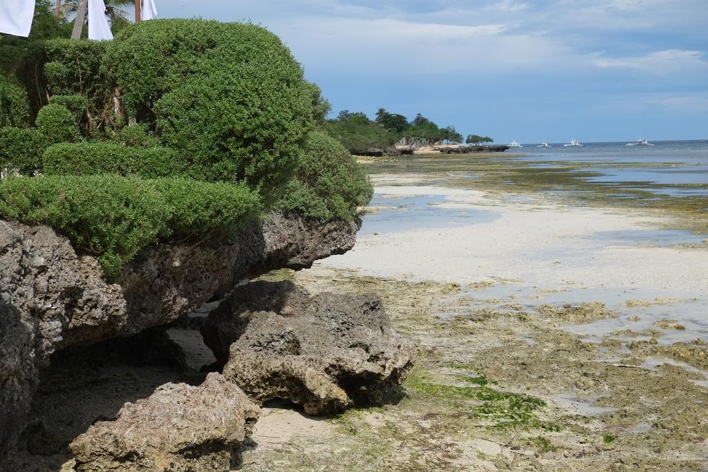 Dive Thru Resort Panglao Esterno foto